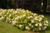 barneveld_004_small.jpg