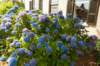 barneveld_005_small.jpg