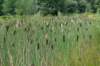 barneveld_008_small.jpg