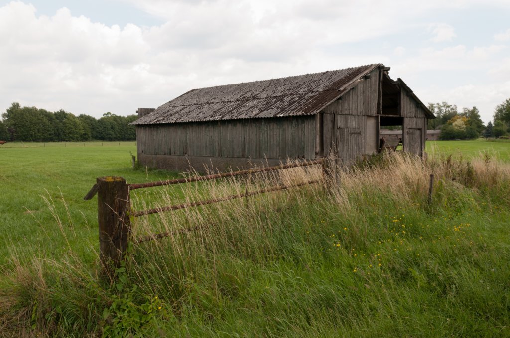 barneveld_011.jpg