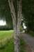 barneveld_017_small.jpg