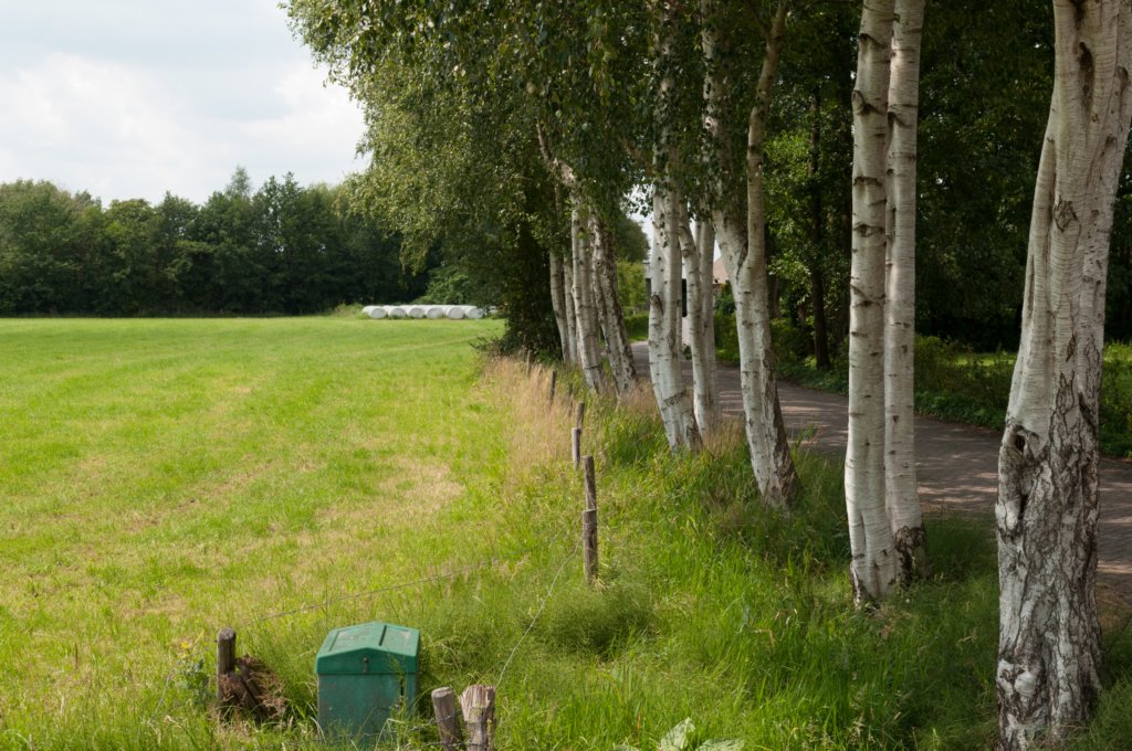 barneveld_018.jpg