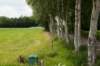 barneveld_018_small.jpg