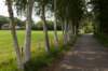 barneveld_019_small.jpg