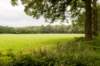 barneveld_023_small.jpg