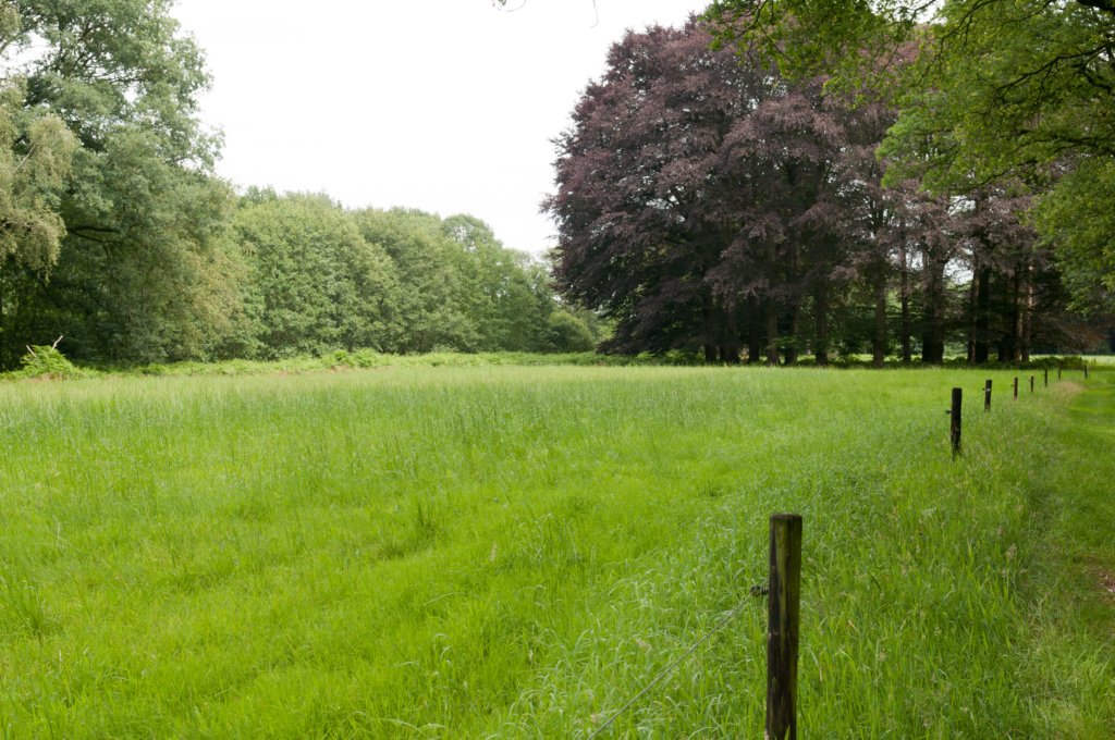barneveld_024.jpg