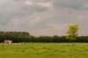 barneveld_025_small.jpg