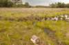 barneveld_027_small.jpg