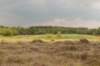 barneveld_029_small.jpg