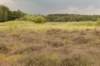 barneveld_030_small.jpg