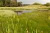 barneveld_031_small.jpg