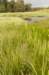barneveld_032_small.jpg