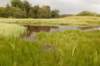barneveld_033_small.jpg
