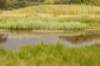 barneveld_034_small.jpg
