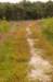 barneveld_036_small.jpg