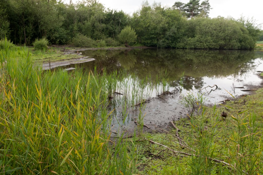 barneveld_037.jpg