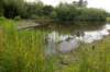 barneveld_037_small.jpg