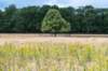beerschoten_002_small.jpg