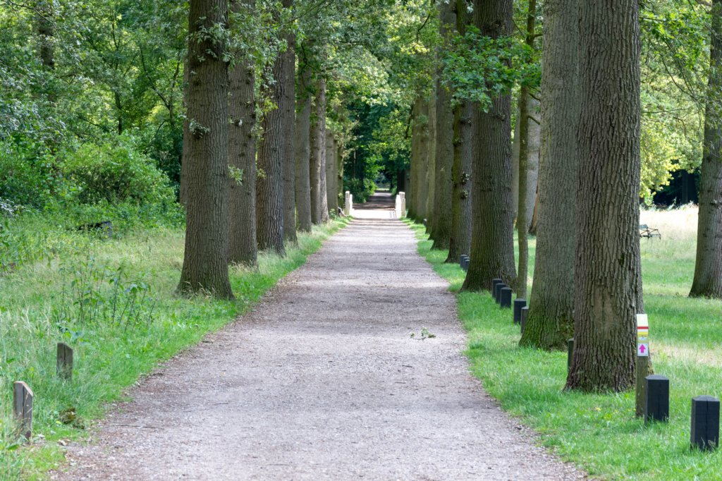 beerschoten_004.jpg
