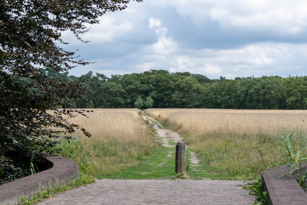 beerschoten_008.jpg