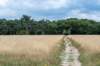 beerschoten_010_small.jpg