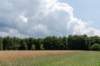 beerschoten_011_small.jpg