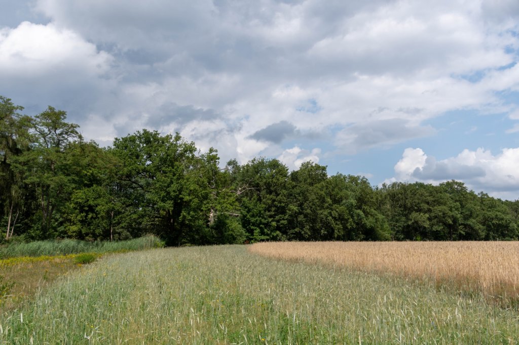 beerschoten_012.jpg