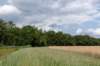 beerschoten_012_small.jpg