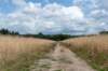 beerschoten_013_small.jpg