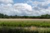 beerschoten_015_small.jpg