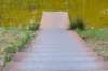 beerschoten_025_small.jpg