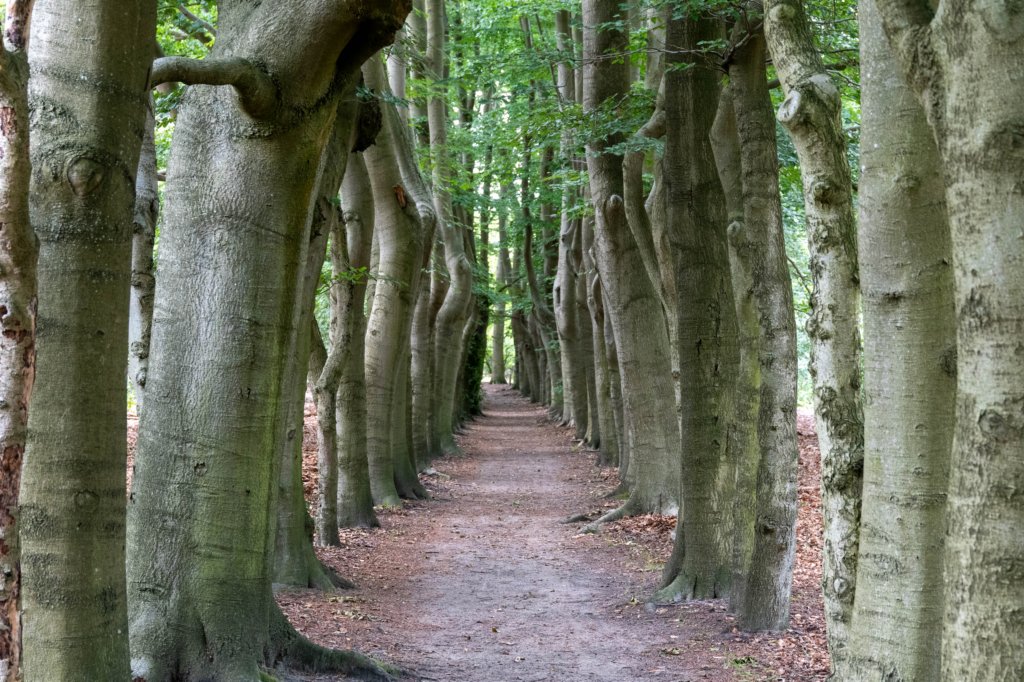 beerschoten_030.jpg
