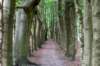 beerschoten_030_small.jpg