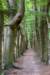 beerschoten_031_small.jpg