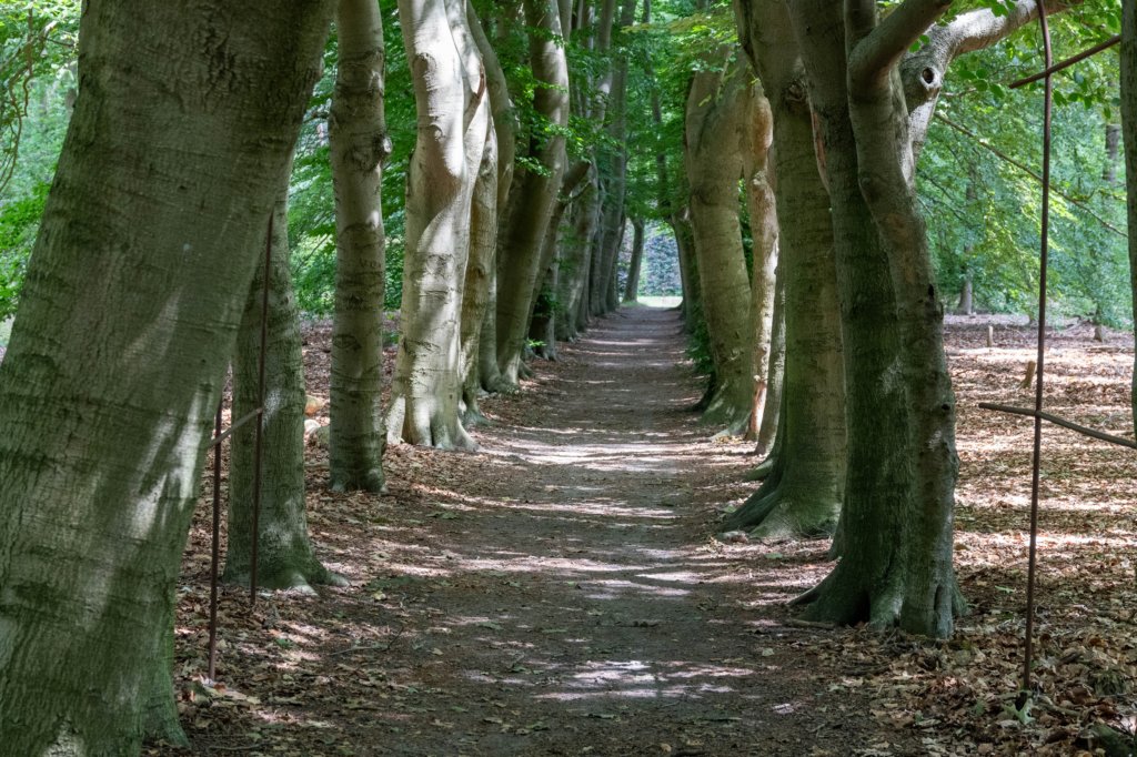 beerschoten_032.jpg