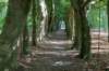beerschoten_032_small.jpg