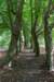 beerschoten_033_small.jpg