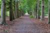 beerschoten_034_small.jpg