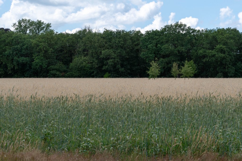beerschoten_040.jpg