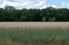 beerschoten_040_small.jpg