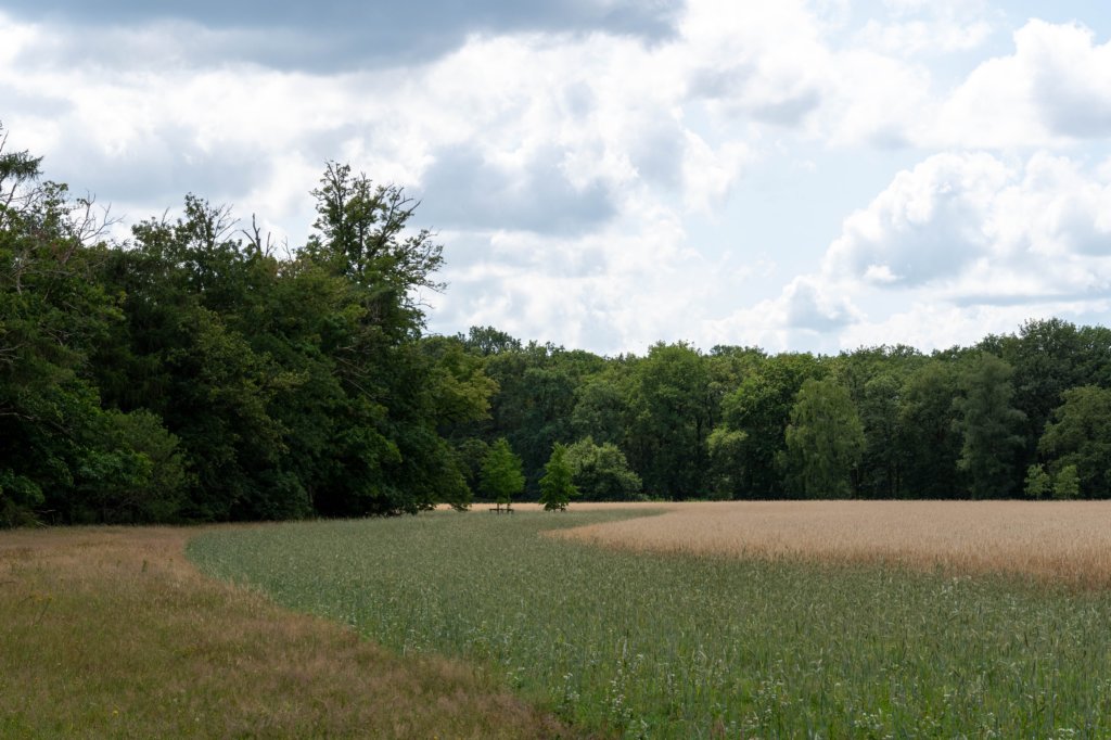 beerschoten_042.jpg