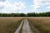 beerschoten_045_small.jpg
