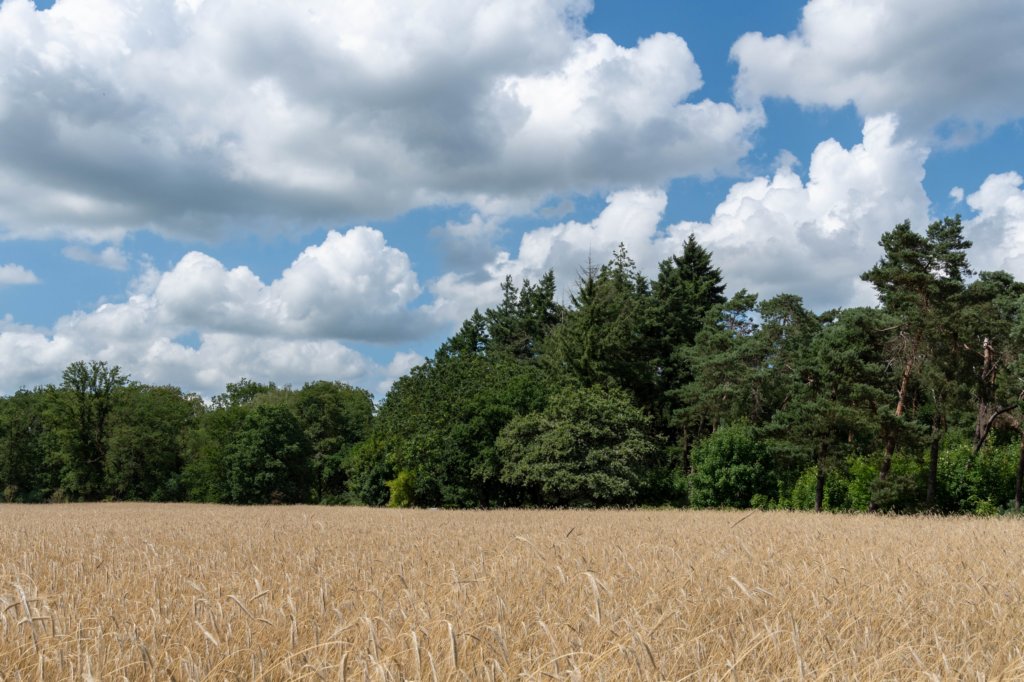 beerschoten_047.jpg