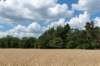 beerschoten_047_small.jpg