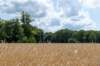 beerschoten_049_small.jpg