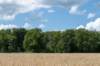 beerschoten_053_small.jpg