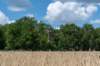 beerschoten_054_small.jpg