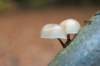 belmonte2_014_small.jpg