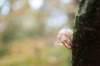 belmonte2_016_small.jpg