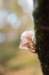 belmonte2_017_small.jpg